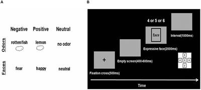 Unpleasant Food Odors Modulate the Processing of Facial Expressions: An Event-Related Potential Study